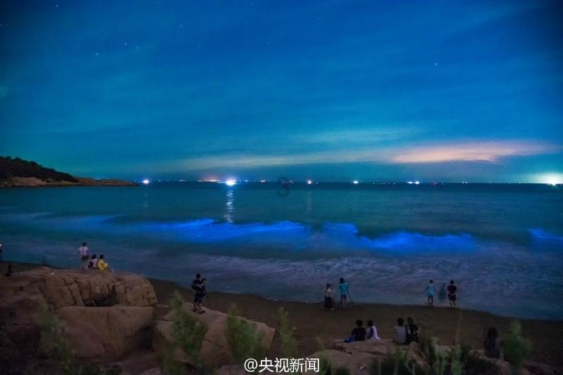 苏州首次应用“5G无人塔吊”，塔吊司机完成高空作业无需攀爬