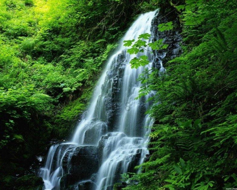 柳岩过气，全是身材惹的祸吗？游戏画面